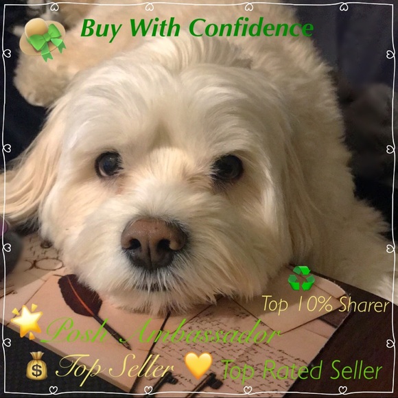 In Loving Memory of my sweet Boy…  💙Charlie - Picture 2 of 16